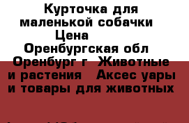 Курточка для маленькой собачки › Цена ­ 200 - Оренбургская обл., Оренбург г. Животные и растения » Аксесcуары и товары для животных   